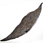 Meteorite, Sikotalin Russland 1947
Iron octahedrite coarse IIB
10 cm / 54 gr / CHF 218.-
