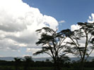 Ngorongoro Crater