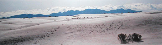 White Sands