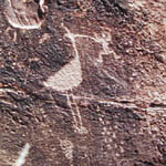 Petroglyphes