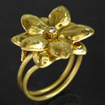 Creation by 